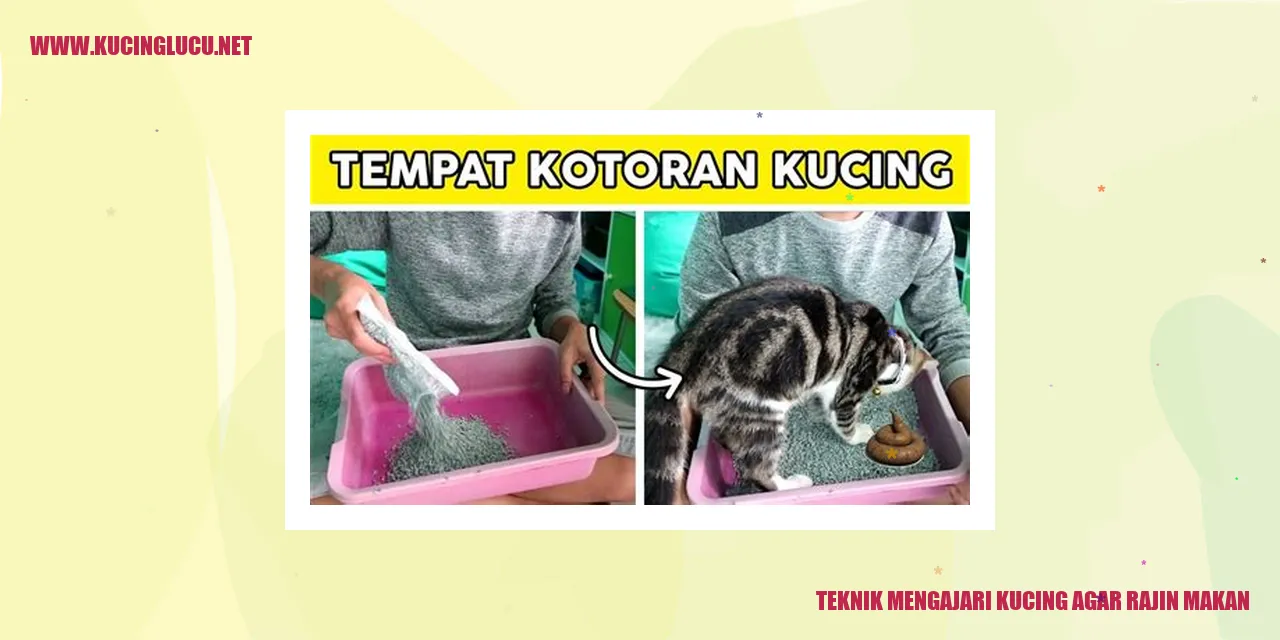 Kucing makanan