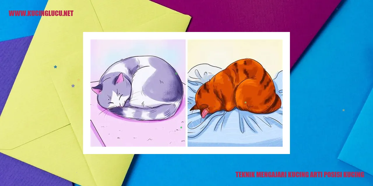 Memahami Bahasa Tubuh Kucing