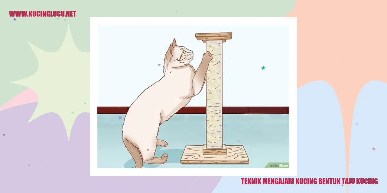 Gambar kucing dengan bentuk taju kucing