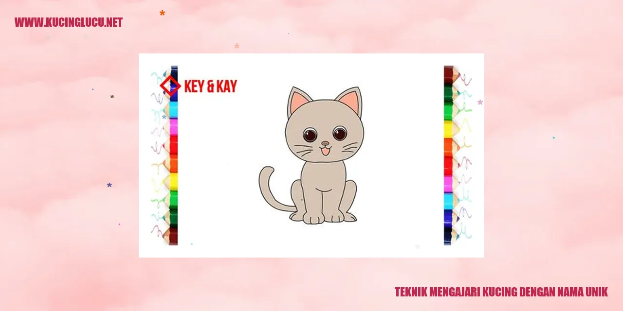 Kucing jantan lucu