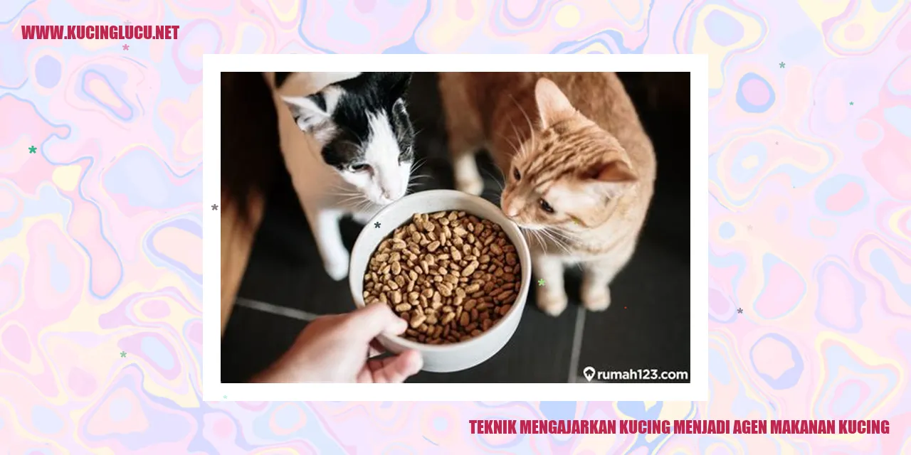Kucing Reseller