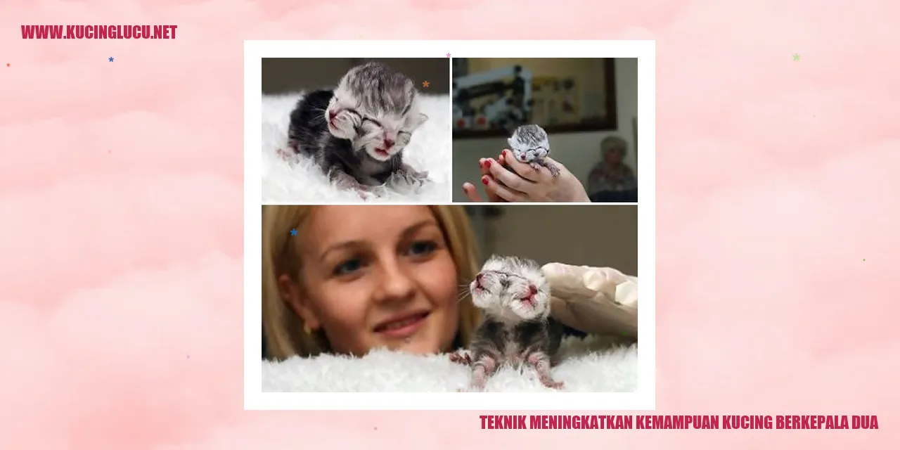 Kemampuan Kucing Berkepala Dua