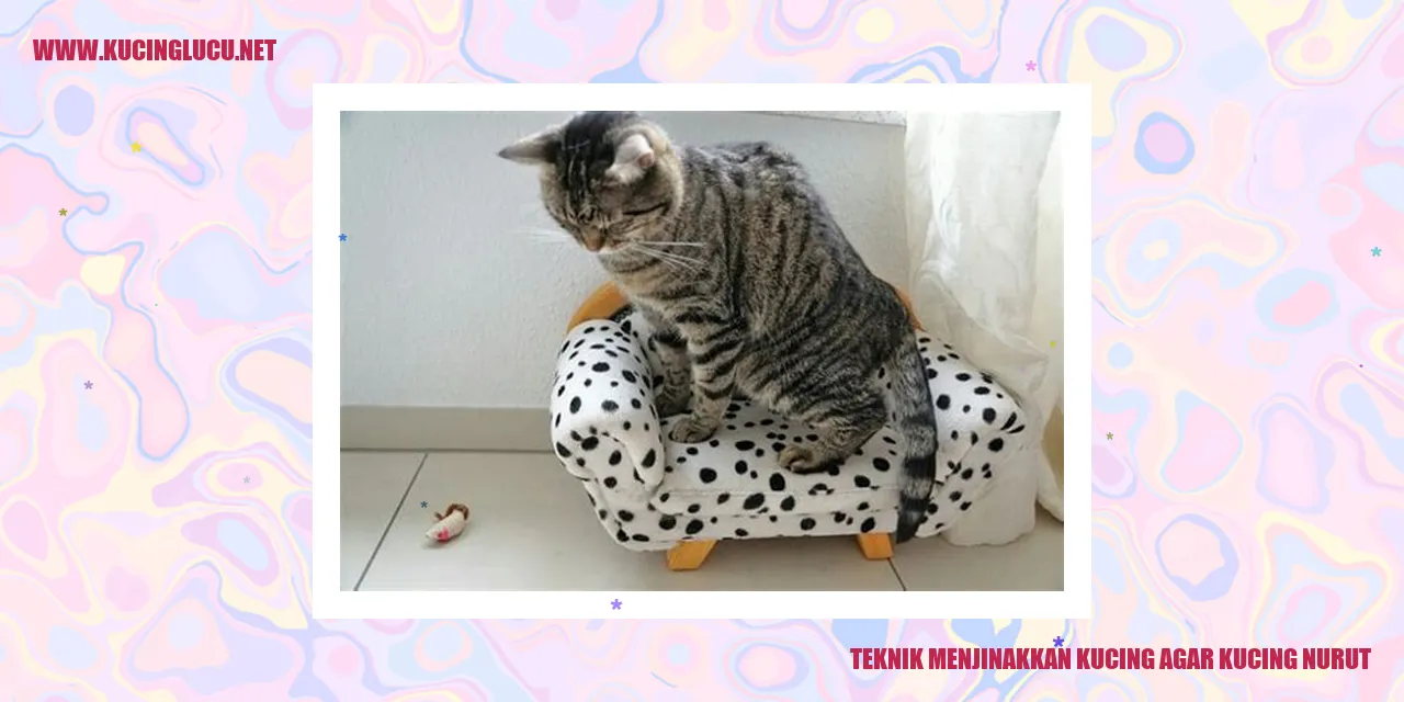 Gambar Kucing yang Mengikuti Perintah