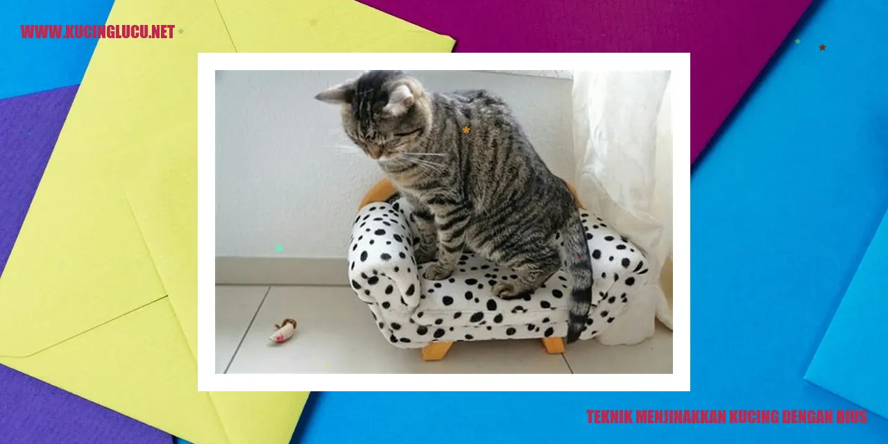Ilustrasi Kucing Bius