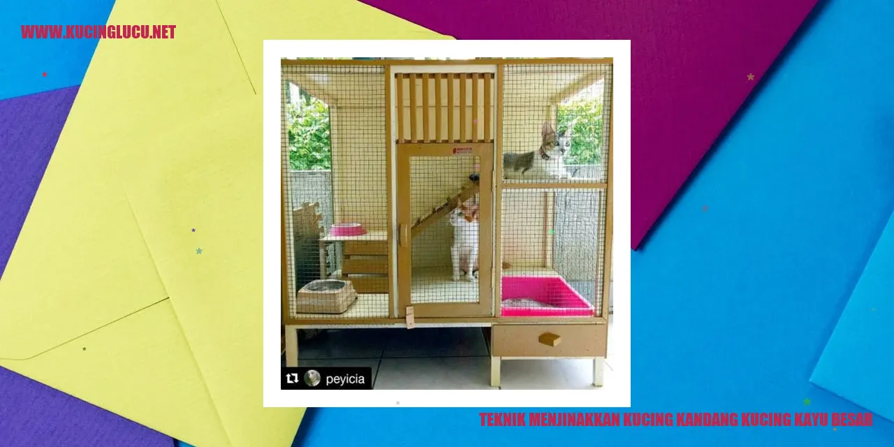 Kucing di dalam kandang kayu