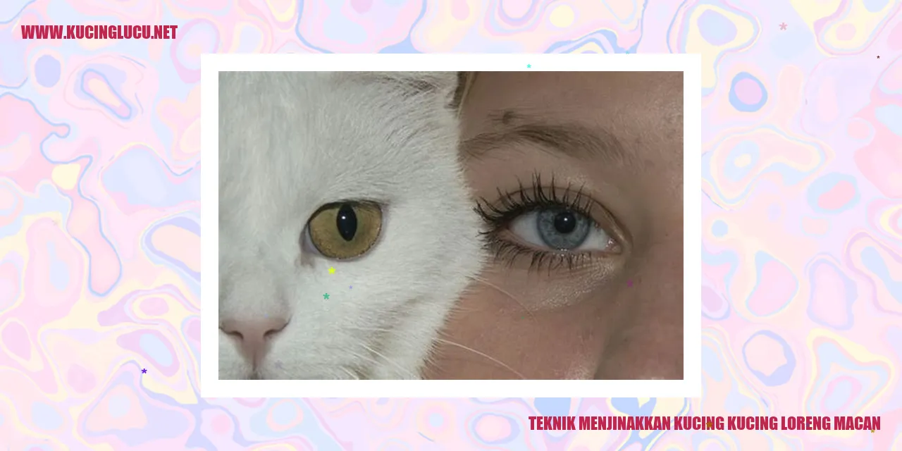 Ilustrasi Kucing Loreng Macan