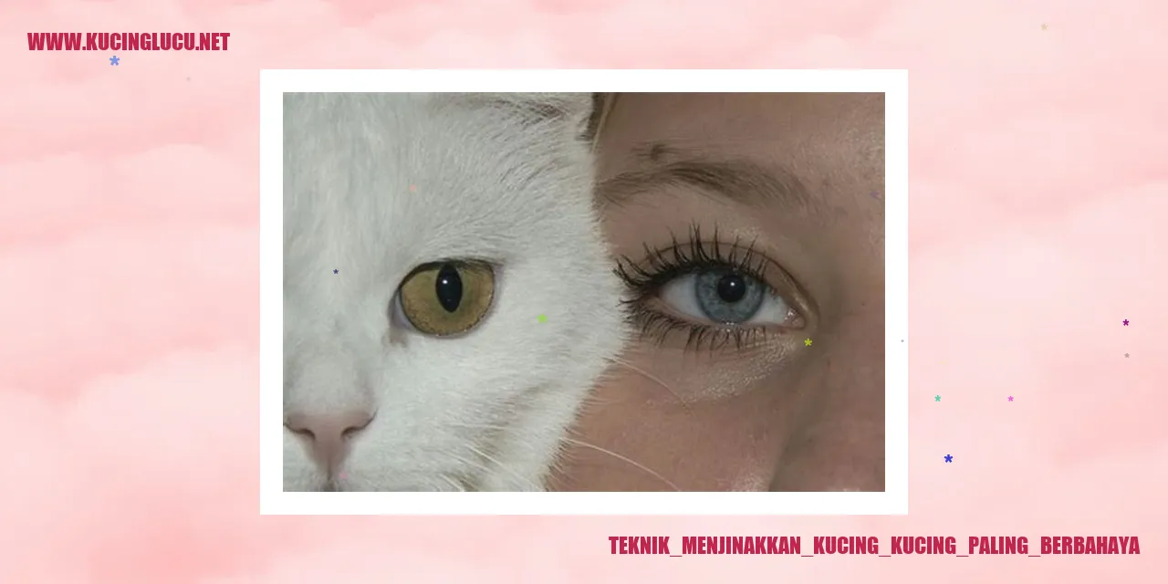 Ilustrasi Menjinakkan Kucing