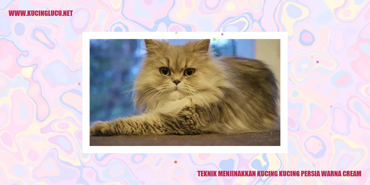 Kucing persia warna krim