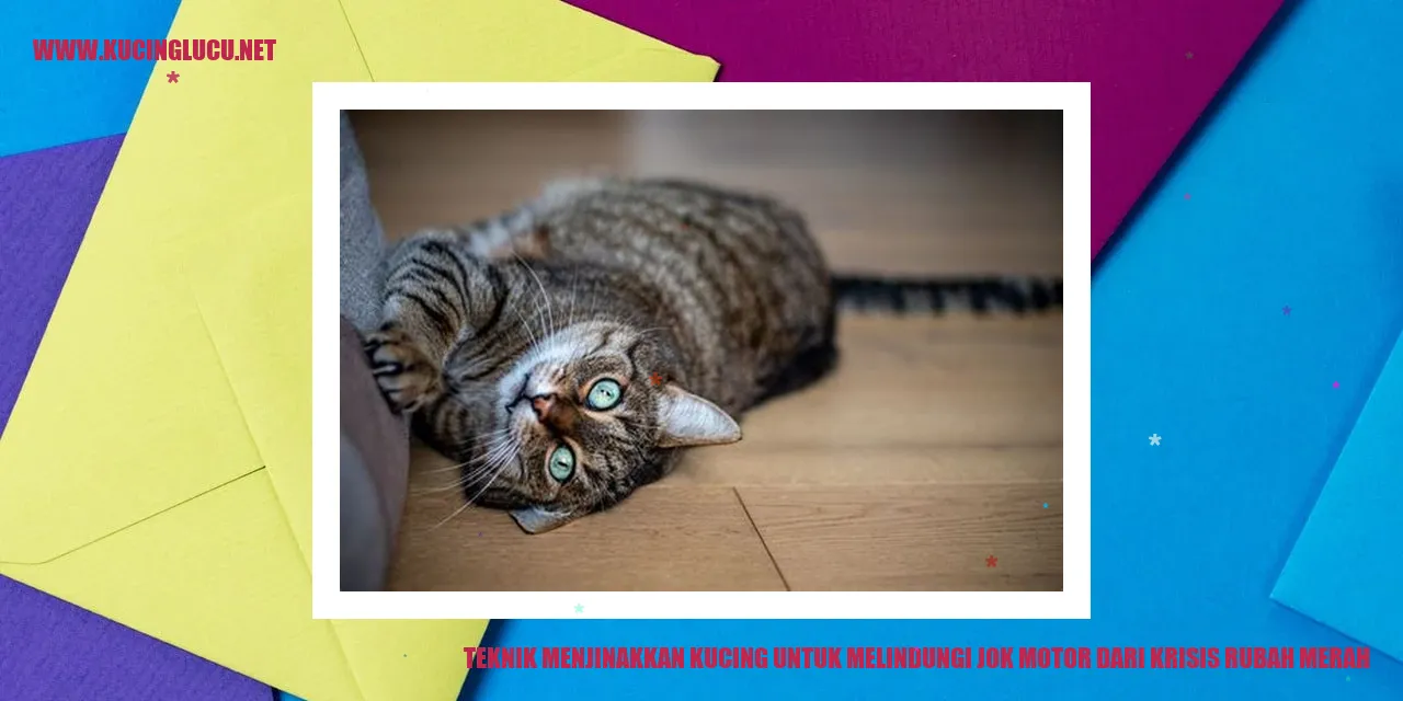 Gambar kucing
