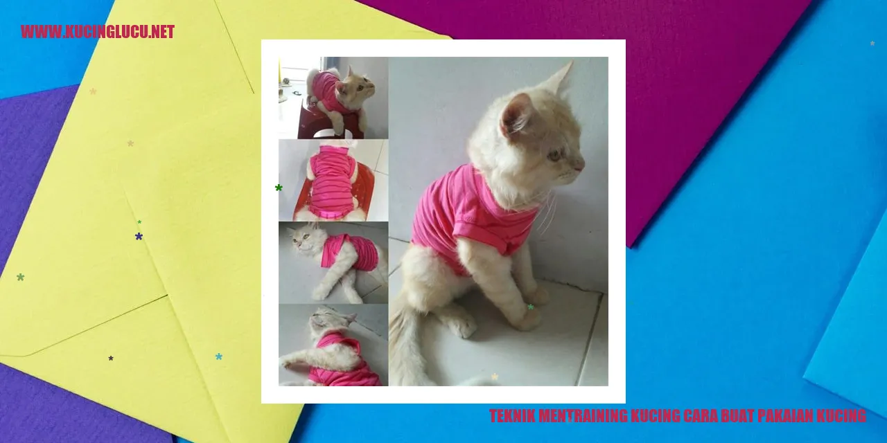Gambar Kucing Mengenakan Pakaian