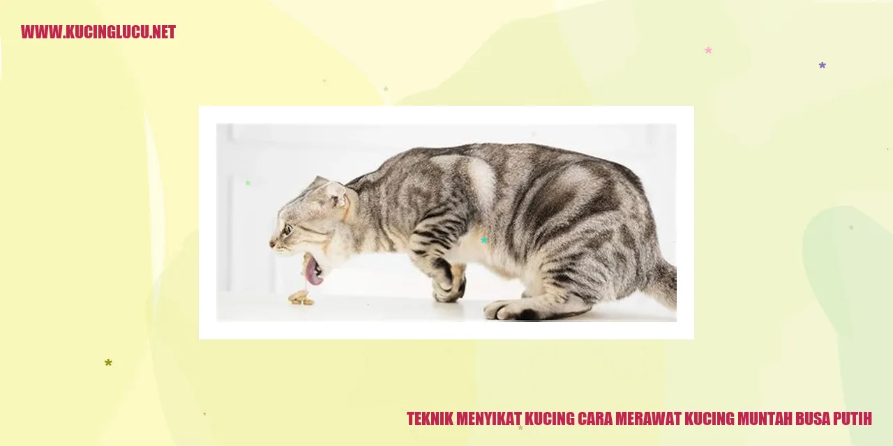 Kucing Muntah Busa Putih