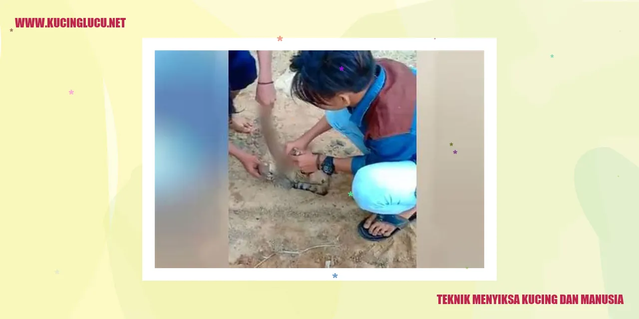 Gambar Teknik Mengajar Kucing dan Manusia