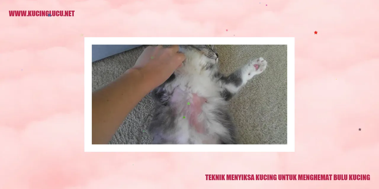 Gambar kucing yang sedang dirawat bulunya