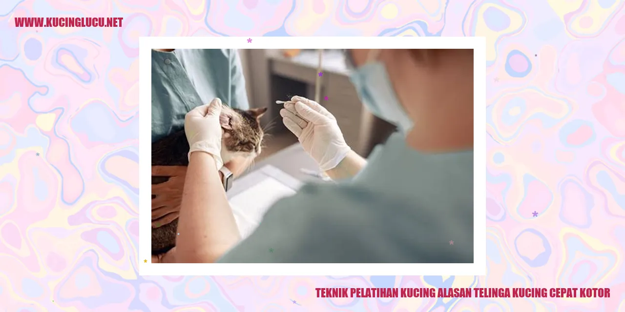 Gambar Kucing dengan Telinga yang Kotor