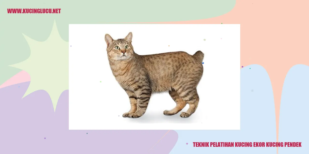 Gambar Kucing Ekor Kucing Pendek