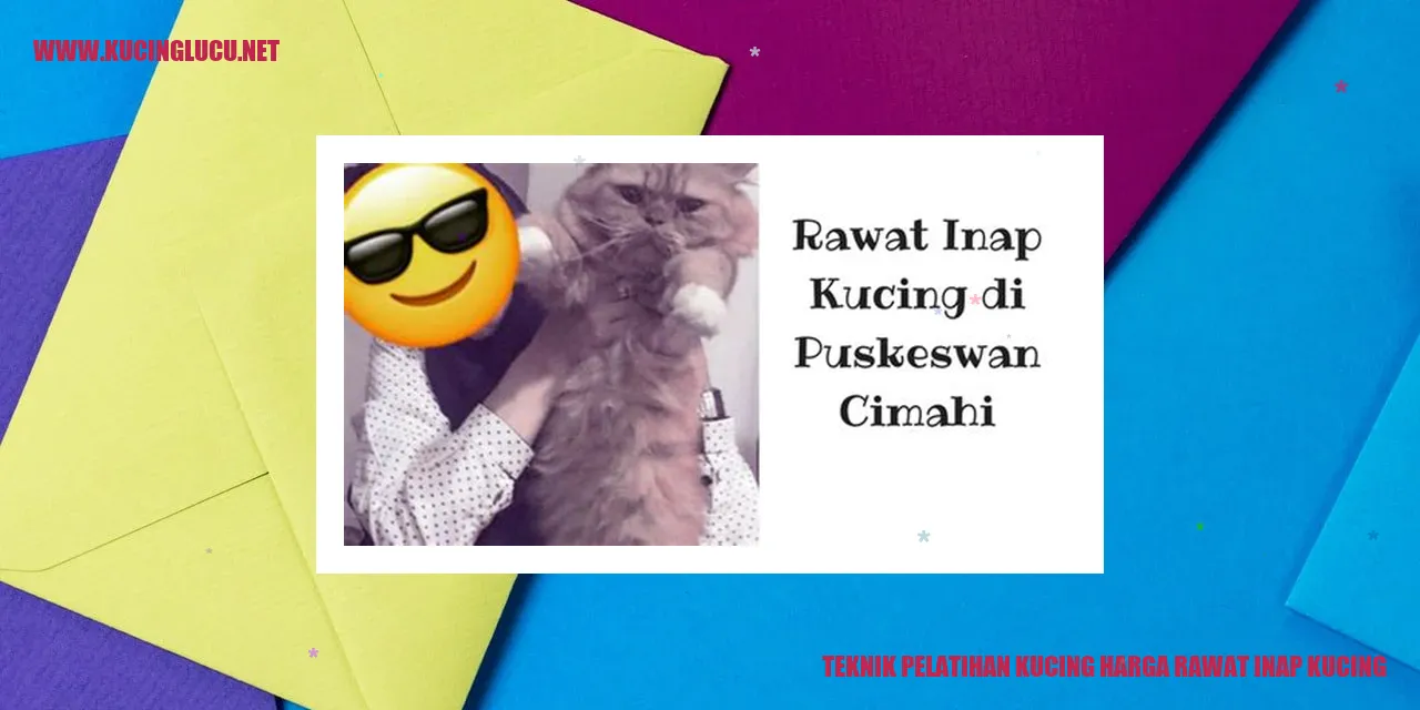 Perawatan Kucing