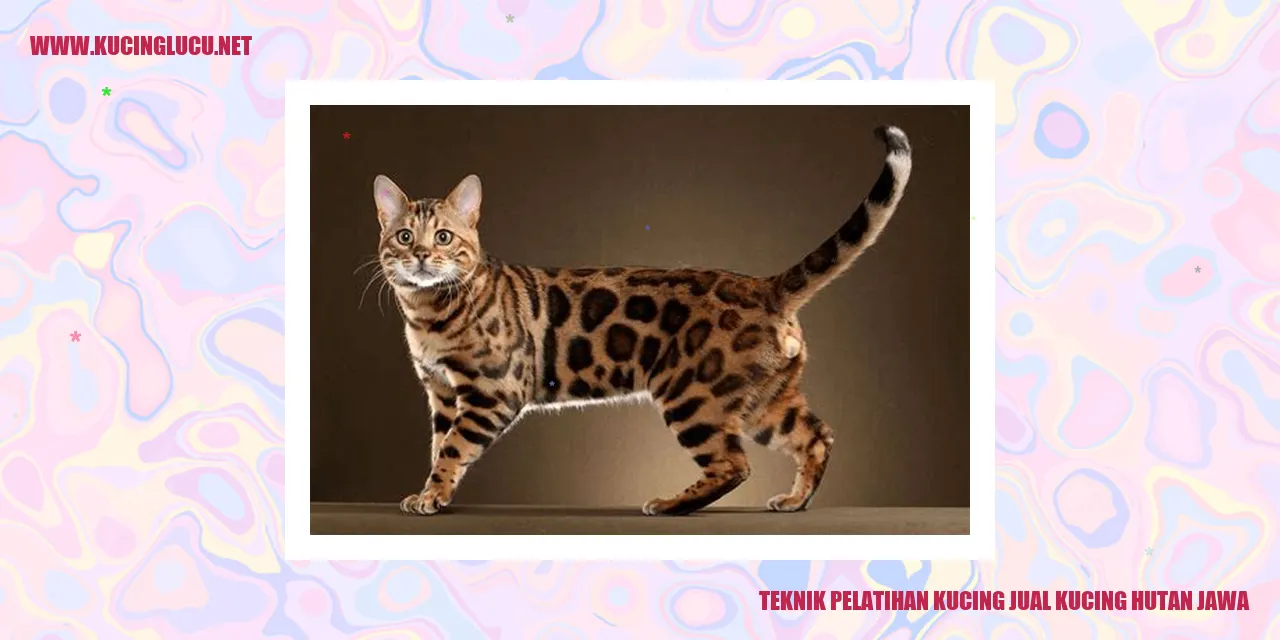 Gambar Kucing Hutan Jawa