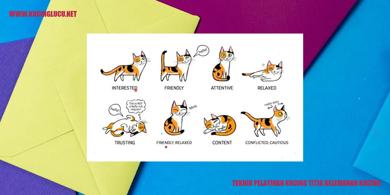 Gambar Kucing