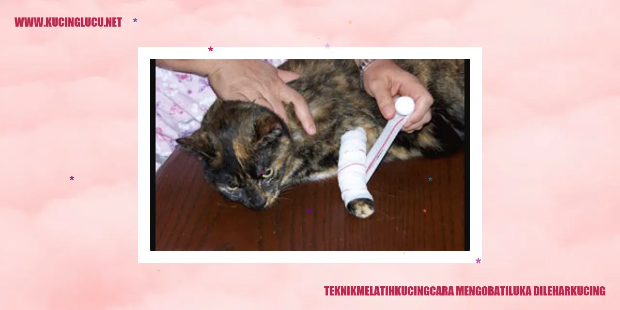 Gambar Luka di Leher Kucing