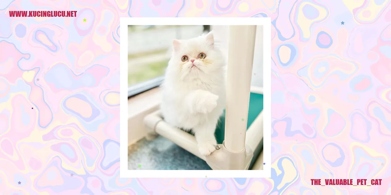Perawatan Kesehatan Kucing