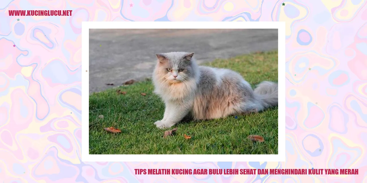 Kucing dengan masalah bulu rontok dan kulit merah