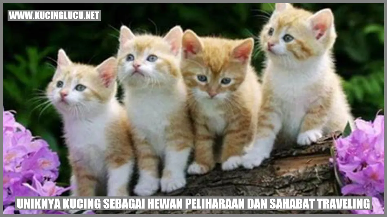 Keunikan Kucing sebagai Hewan Peliharaan Kucing dan traveling