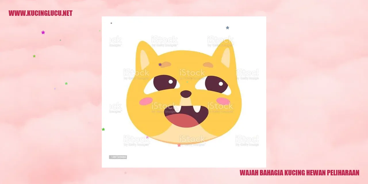 Kucing dengan wajah bahagia